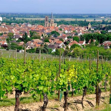 La Sorciere In A Typical Alsatian House Apartment Rouffach Bagian luar foto