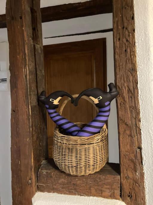 La Sorciere In A Typical Alsatian House Apartment Rouffach Bagian luar foto