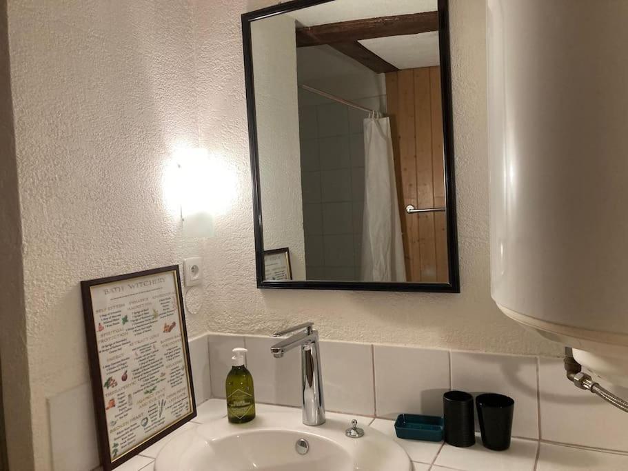 La Sorciere In A Typical Alsatian House Apartment Rouffach Bagian luar foto