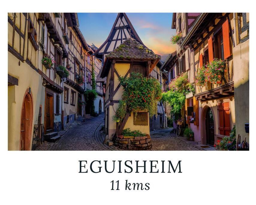 La Sorciere In A Typical Alsatian House Apartment Rouffach Bagian luar foto