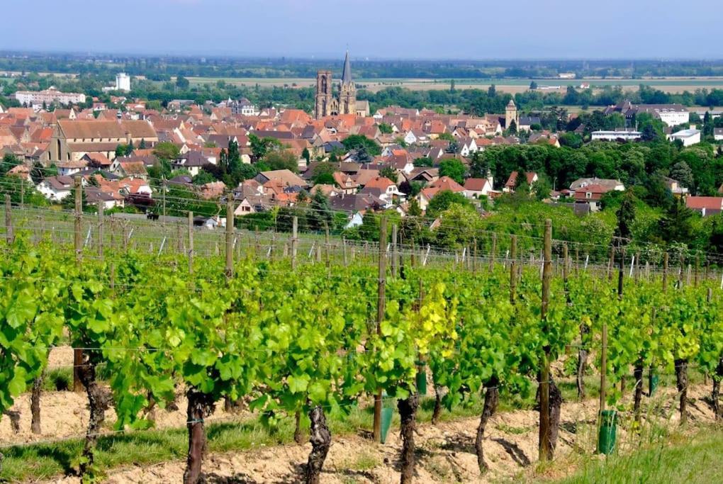 La Sorciere In A Typical Alsatian House Apartment Rouffach Bagian luar foto