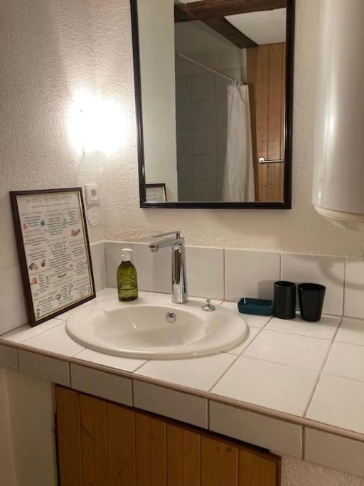 La Sorciere In A Typical Alsatian House Apartment Rouffach Bagian luar foto